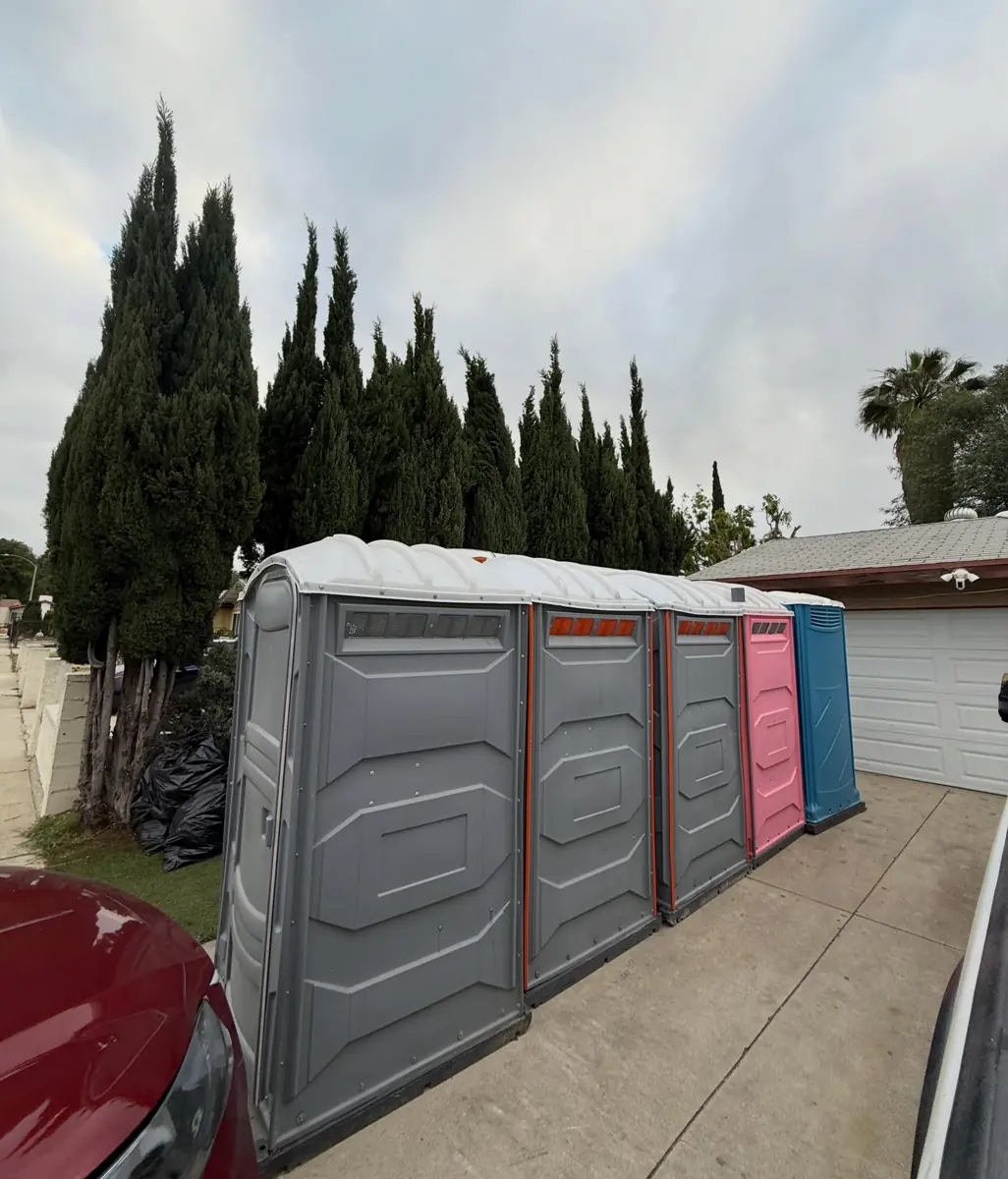 Row of porta potties lined up along a driveway for an event